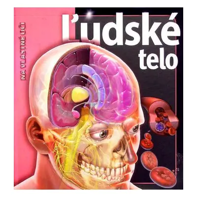 Ľudské telo (Linda Calabresi) (slovensky)