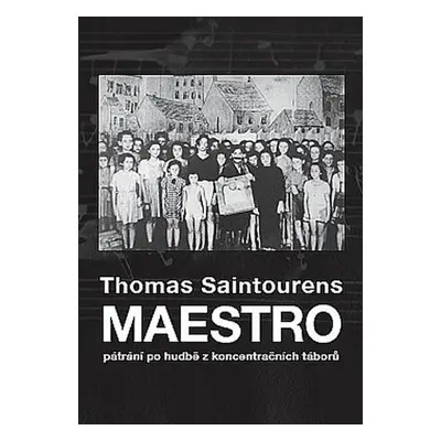 Maestro (Saintourens Thomas)