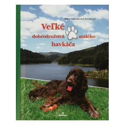 Veľké dobrodružstvá malého havkáča (Mária Vrkoslavová) (slovensky)