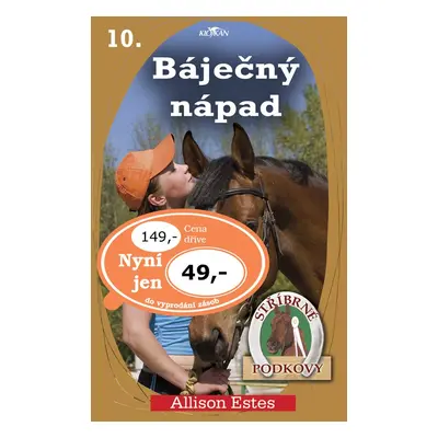 Stříbrné podkovy 10 Báječný nápad (Allison Estes)