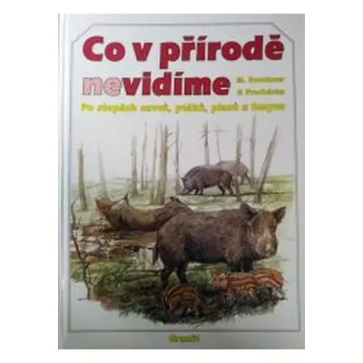 Co v přírodě nevidíme (Miroslav Bouchner)