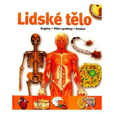 Lidské tělo