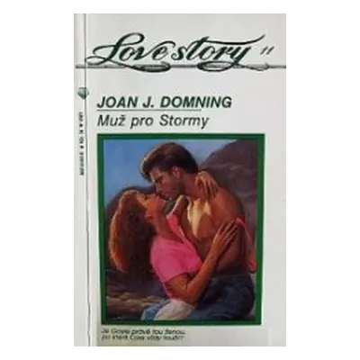 Muž pro Stormy (Joan J. Domning)