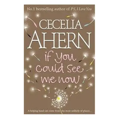 If You Could See Me Now (Cecelia Ahern) (EN)