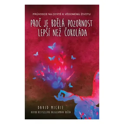 Proč je bdělá pozornost lepší než čokoláda (David Michie)