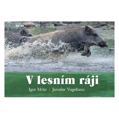 V lesním ráji (Igor Mráz)