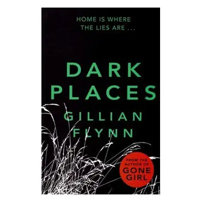 Dark Places - Gillian Flynn (Gillian Flynnová) (EN)