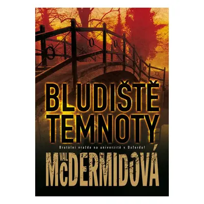 Bludiště temnoty (Val McDermid)