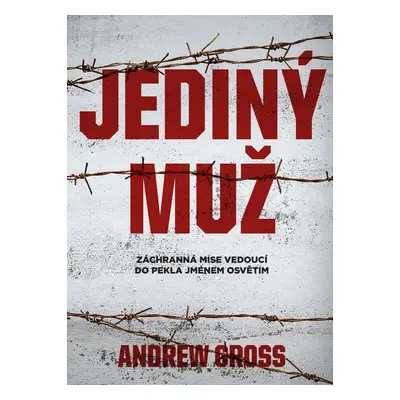 Jediný muž (Andrew Gross)