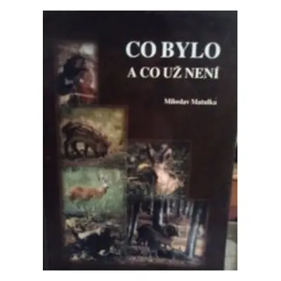 Co bylo - a co už není (Miloslav Matulka)