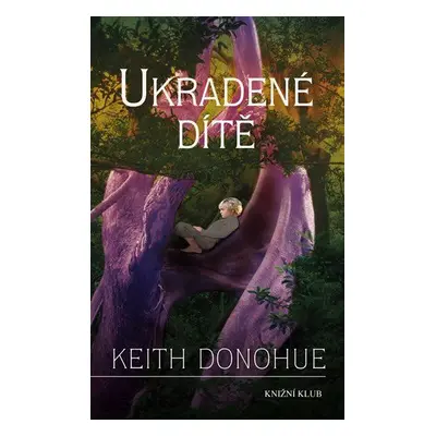 Ukradené dítě (Keith Donohue)