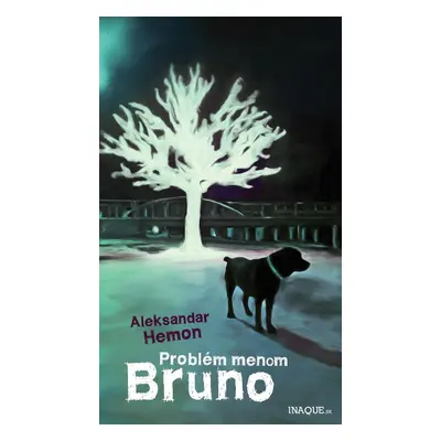 Problém menom Bruno (Aleksandar Hemon) (slovensky)