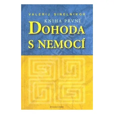 Dohoda s nemocí I (Valerij Sineľnikov)