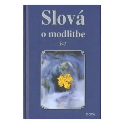 Slová o modlitbe (Ján Kamenistý) (slovensky)