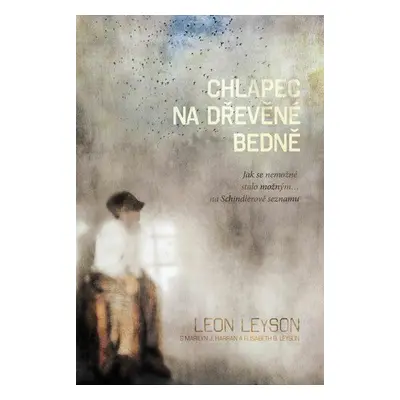 Chlapec na dřevěné bedně - Jak se nemožné stalo možným... na Schindlerově seznamu (Leon Leyson)