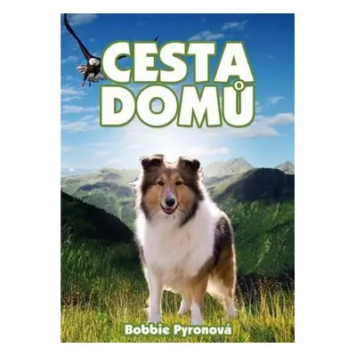 Cesta domů (Bobbie Pyronová)