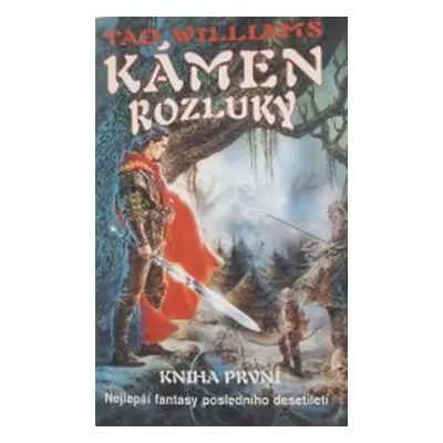 Kámen rozluky (Tad Williams)