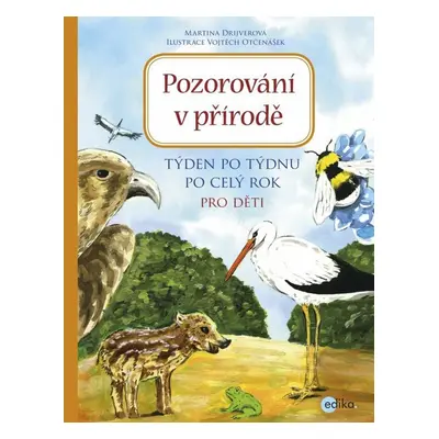 Pozorování v přírodě - Týden po týdnu po celý rok (Martina Drijverová)