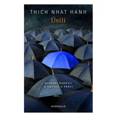 Úsilí - Hledání radosti a smyslu v práci (Hanh Thich Nhat)