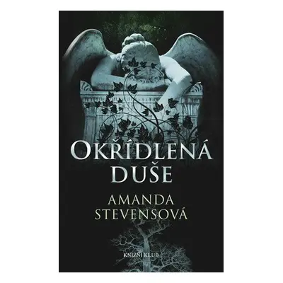 Okřídlená duše (Amanda Stevensová)