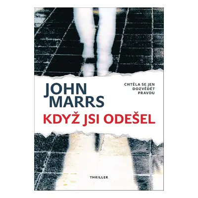 Když jsi odešel - Chtěla se jen dozvědět pravdu (John Marrs)