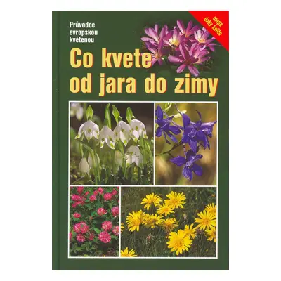 Co kvete od jara do zimy (Wolfgang Dreyer)