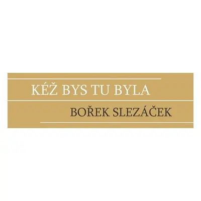 Kéž bys tu byla (Bořek Slezáček)