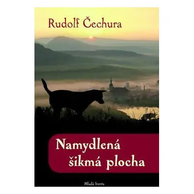 Namydlená šikmá plocha (Rudolf Čechura)