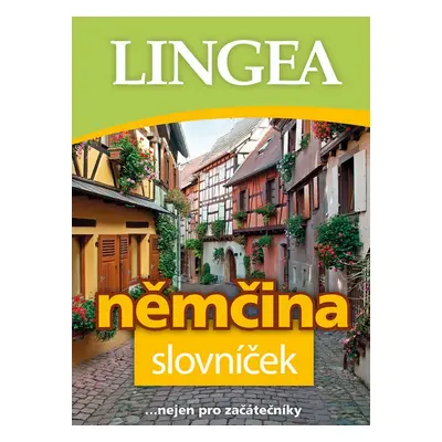 Němčina