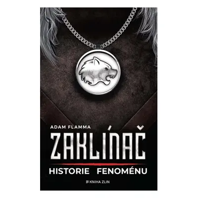 Zaklínač Historie fenoménu (Adam Flamma)