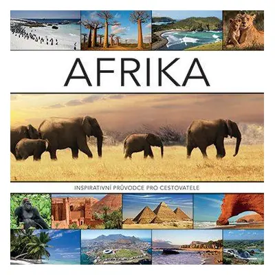 Afrika (Joyce Koster)