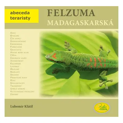 Felsuma madagaskarská - Abeceda teraristy (Lubomír Klátil)