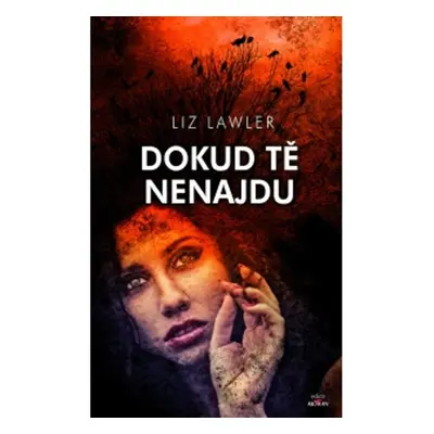 Dokud tě nenajdu (Liz Lawler)