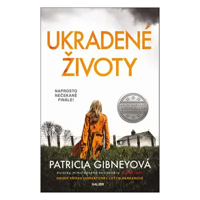 Ukradené životy (Patricia Gibney)