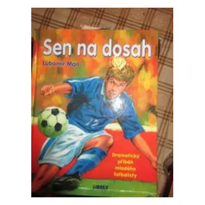 Sen na dosah (Lubomír Man)