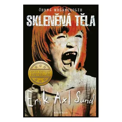 Černá melancholie: Skleněná těla (Erik Axl Sund)