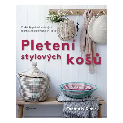 Pletení stylových košů (Tabara N´Diaye)