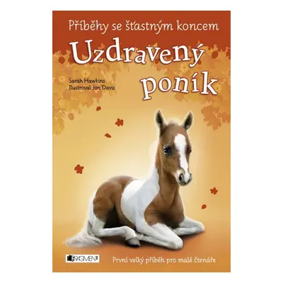 Příběhy se šťastným koncem - Uzdravený poník (Sarah Hawkins)