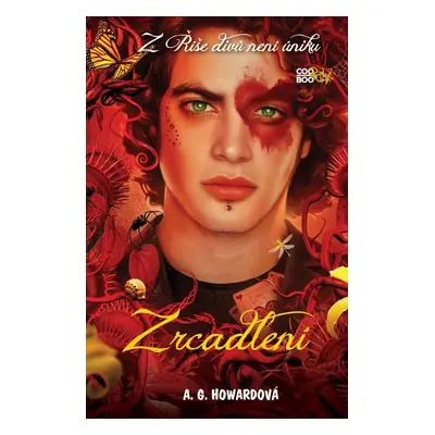 Zrcadlení (A.G. Howardová)