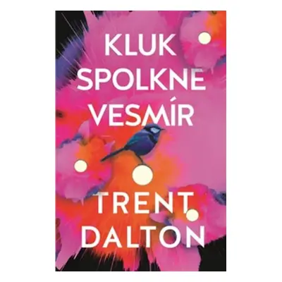 Kluk spolkne vesmír (Trent Dalton)