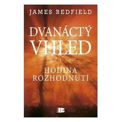 Dvanáctý vhled - Hodina rozhodnutí (James Redfield)