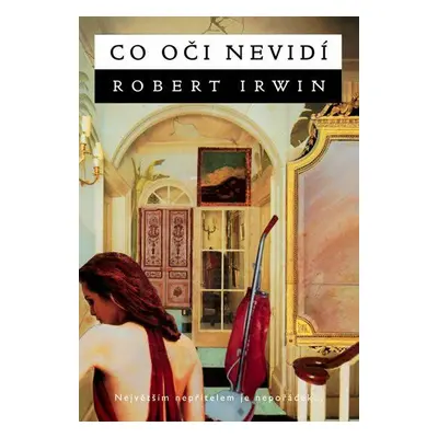 Co oči nevidí (Irwin, Robert)