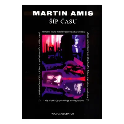 Šíp času (Martin Amis)