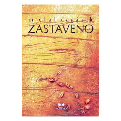 Zastaveno (Michal Čagánek)