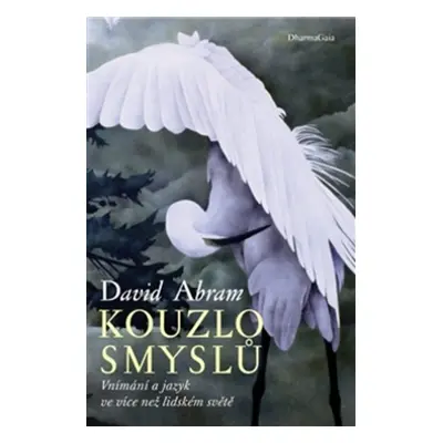 Kouzlo smyslů (Abram David)