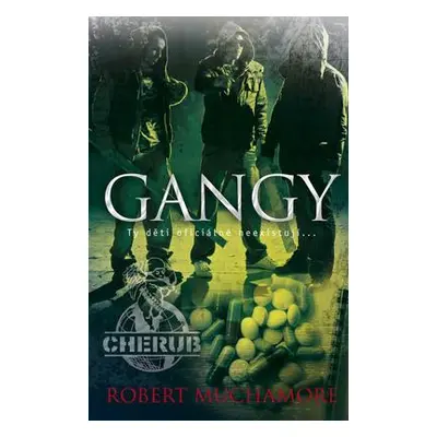 Gangy (Muchamore Robert)