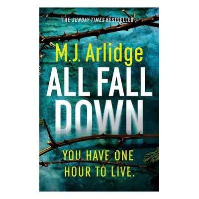 All Fall Down (M. J. Arlidge) (EN)