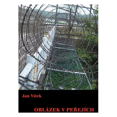 Oblázek v peřejích (Jan Vítek)