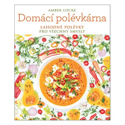 Domácí polévkárna (Amber Locke)