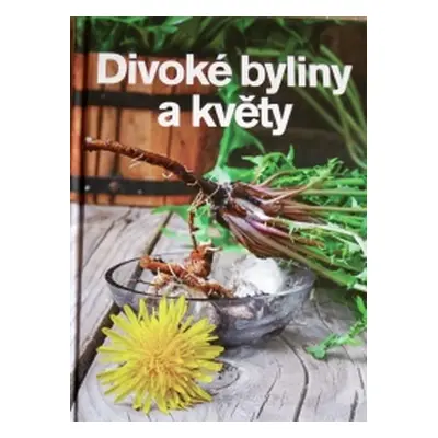 Divoké byliny a květy (Andrea Malá)